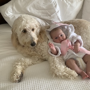 Team Page: Jadyn and Riley's Gift of Life